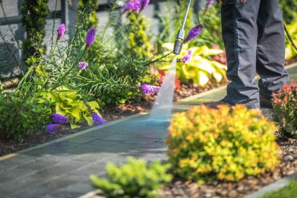 Reliable Attalla, AL Pressure Washing Services Solutions
